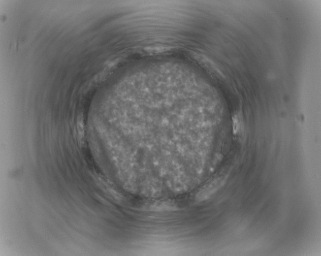 X0000071331011200607212001