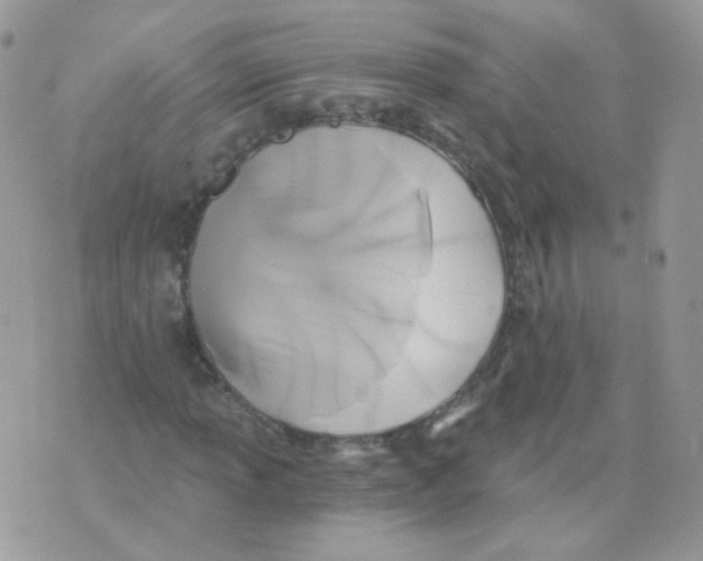 X0000071331013200607212002