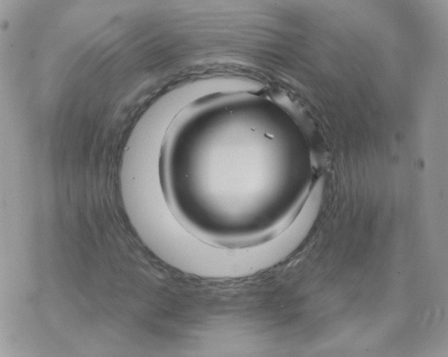 X0000071331014200607212002