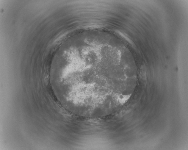 X0000071331015200607212002