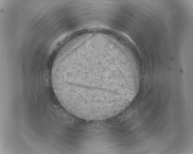 X0000071331016200607212002