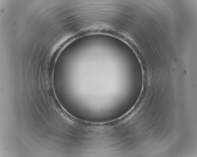 X0000071331018200607212002