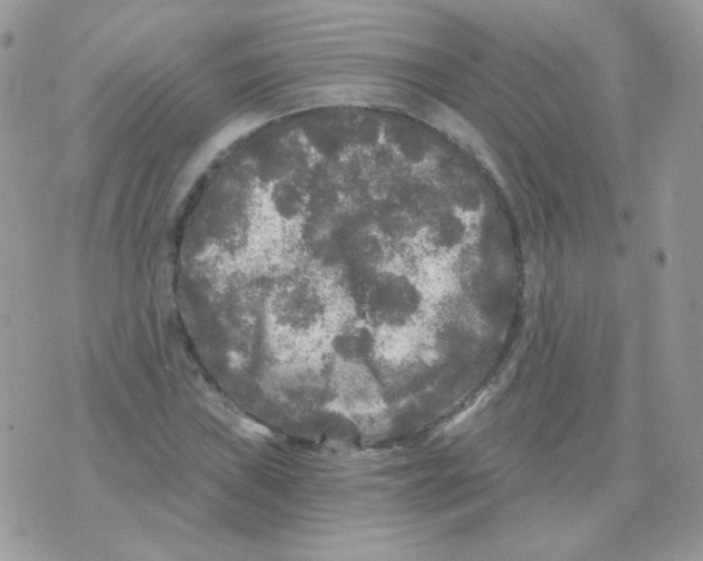 X0000071331019200607212002