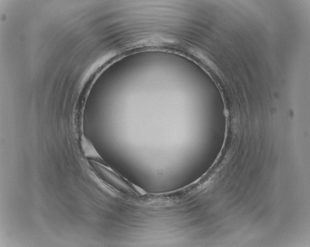 X0000071331026200607212002