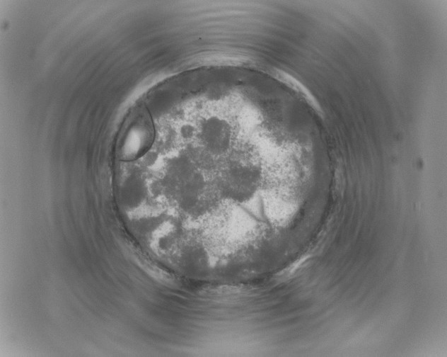 X0000071331027200607212002