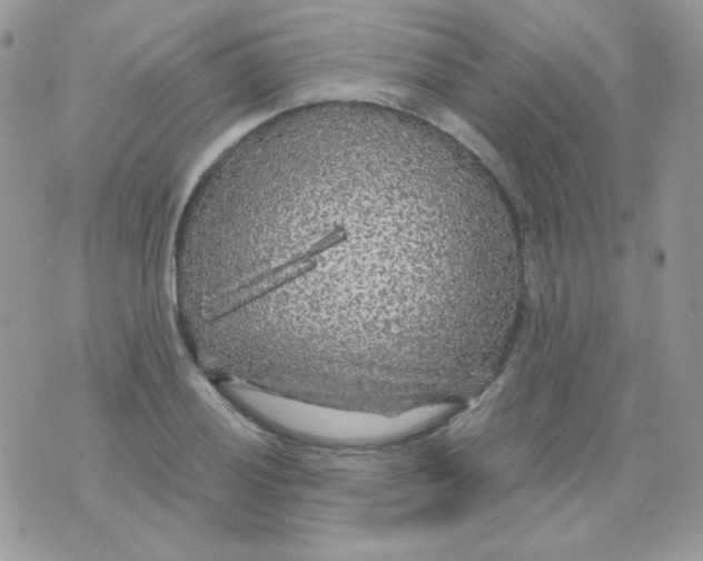 X0000071331028200607212002