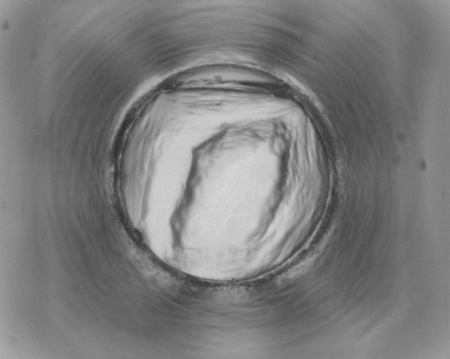 X0000071331029200607212002