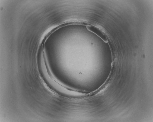 X0000071331030200607212002