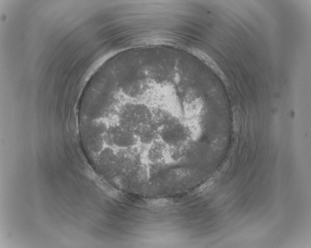 X0000071331031200607212002