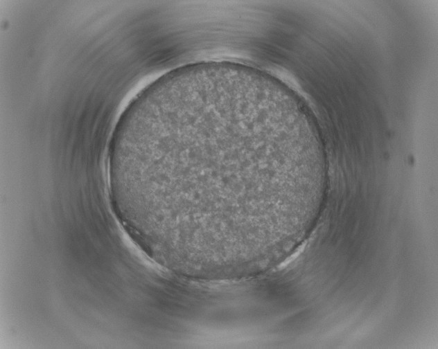 X0000071331032200607212002