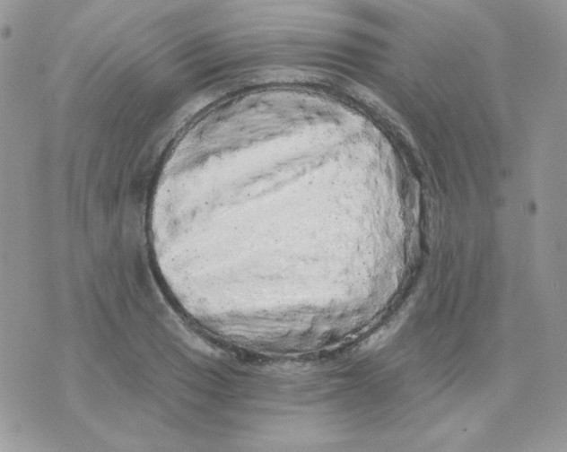 X0000071331033200607212002