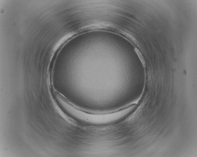 X0000071331034200607212002