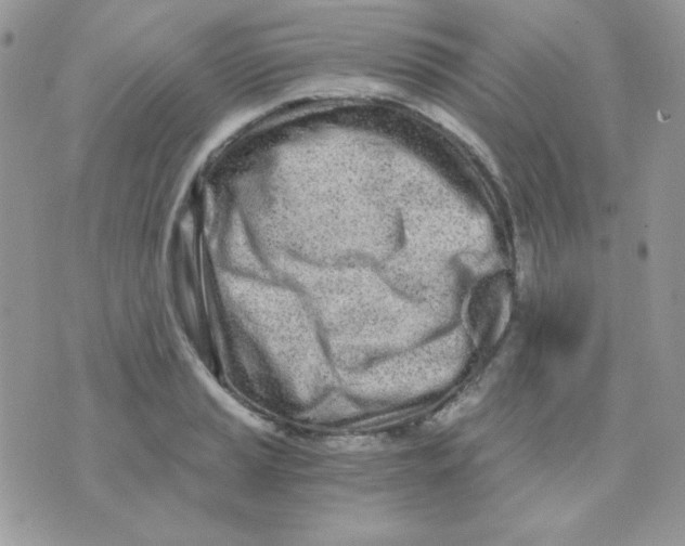 X0000071331037200607212002