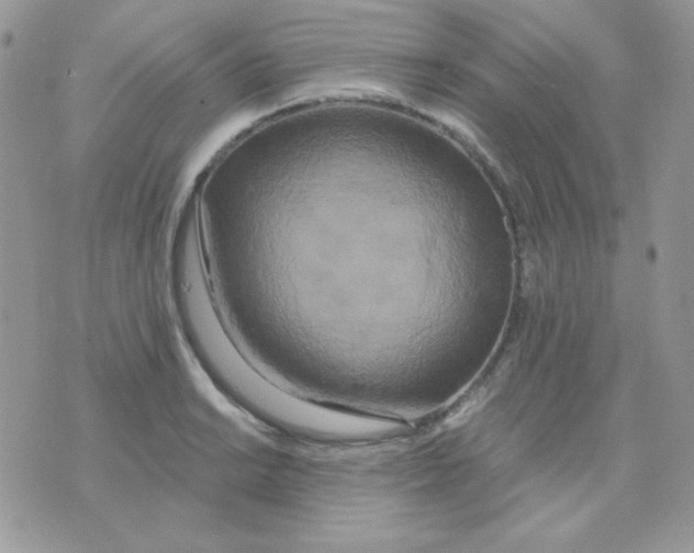 X0000071331038200607212002