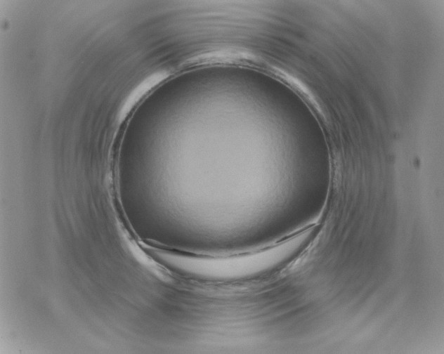 X0000071331042200607212002