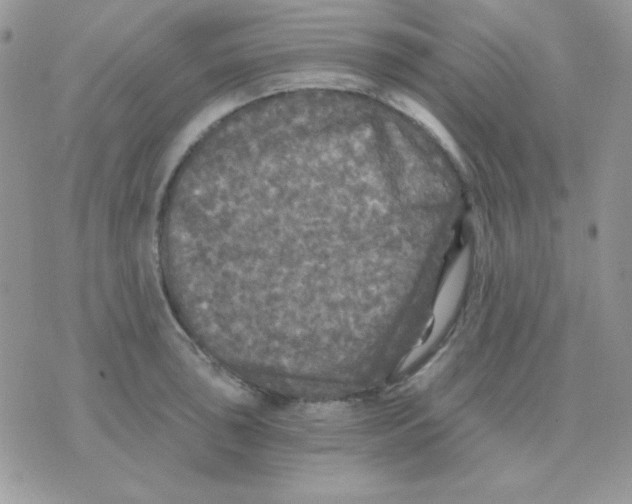 X0000071331043200607212002