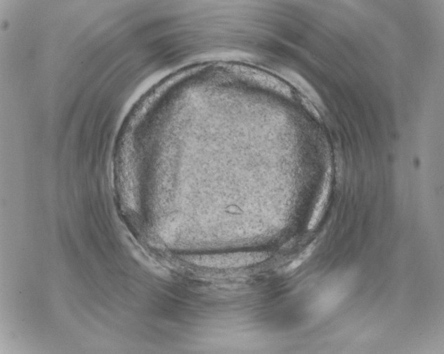 X0000071331044200607212002