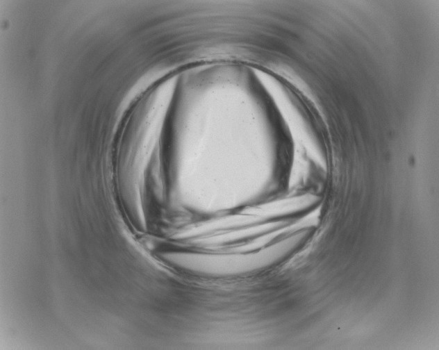 X0000071331045200607212002