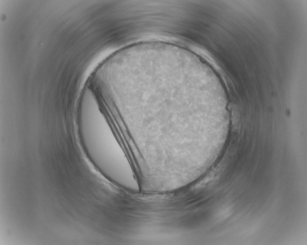 X0000071331048200607212002