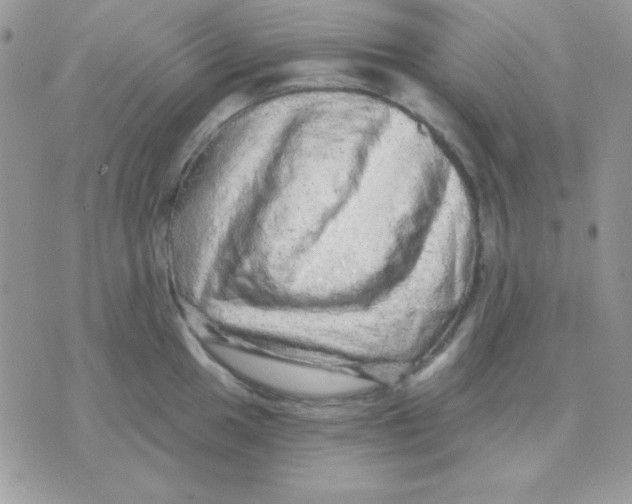 X0000071331049200607212002