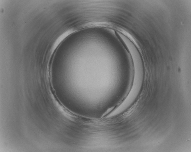 X0000071331050200607212002