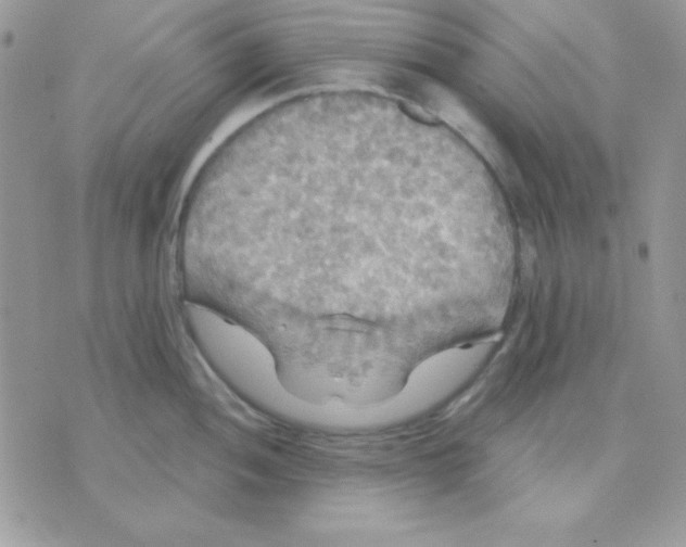 X0000071331052200607212002