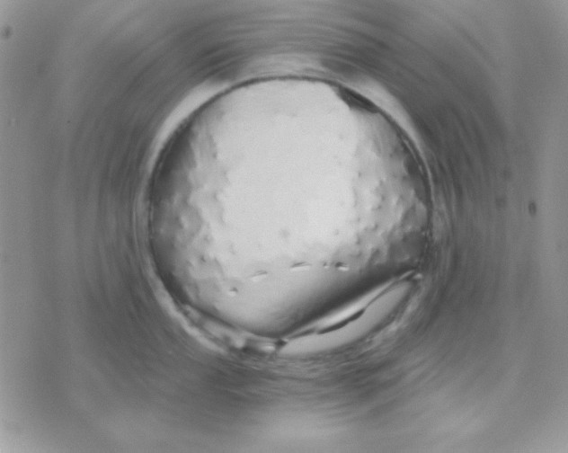 X0000071331053200607212002