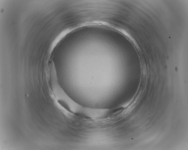 X0000071331054200607212002