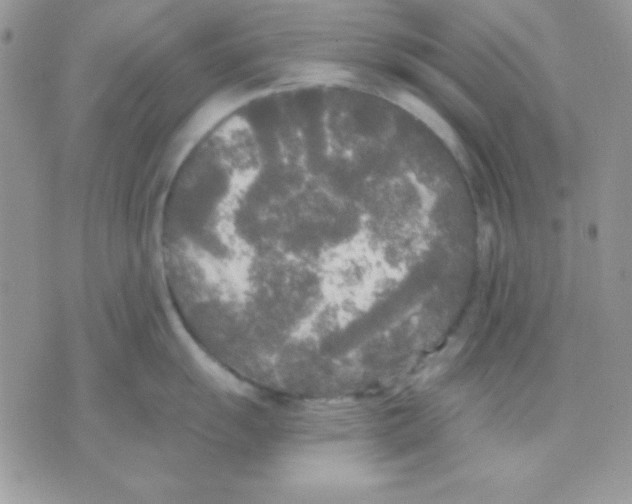 X0000071331055200607212002