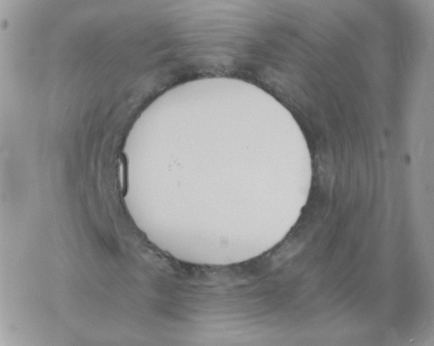 X0000071331057200607212001