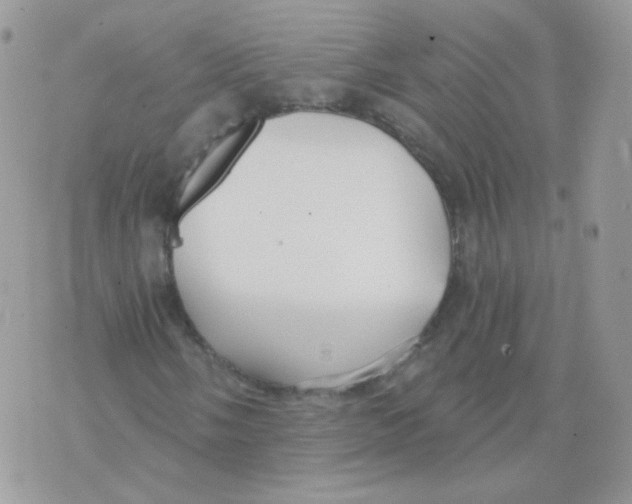 X0000071331058200607212001