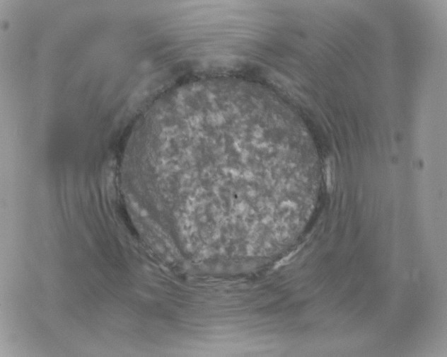 X0000071331059200607212001