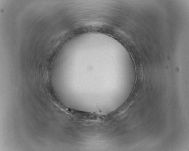 X0000071331061200607212001