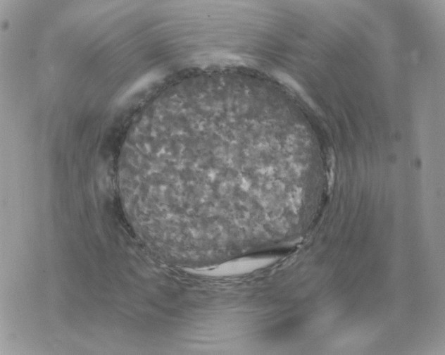 X0000071331063200607212001