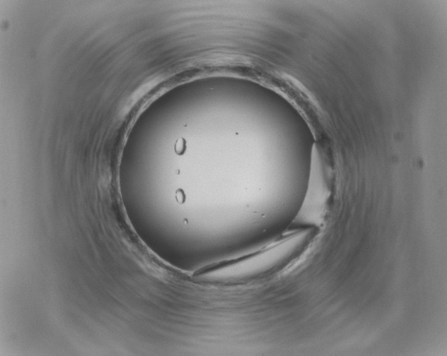 X0000071331065200607212001