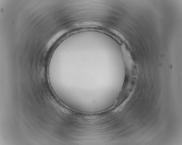 X0000071331066200607212001