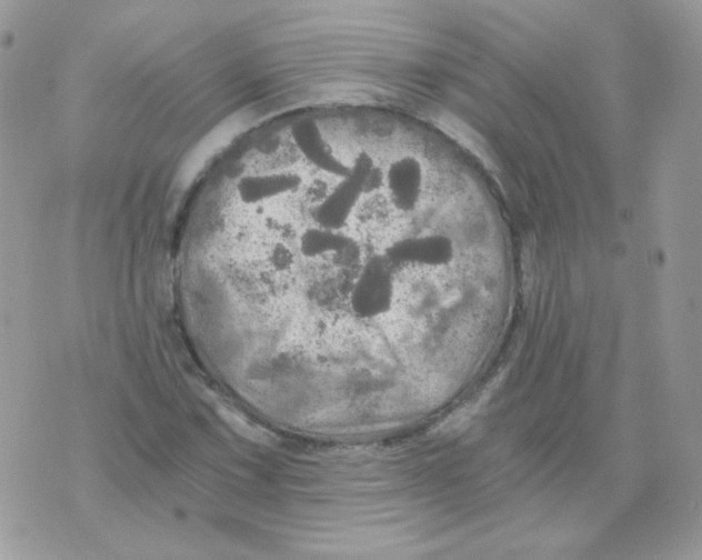 X0000071331067200607212001