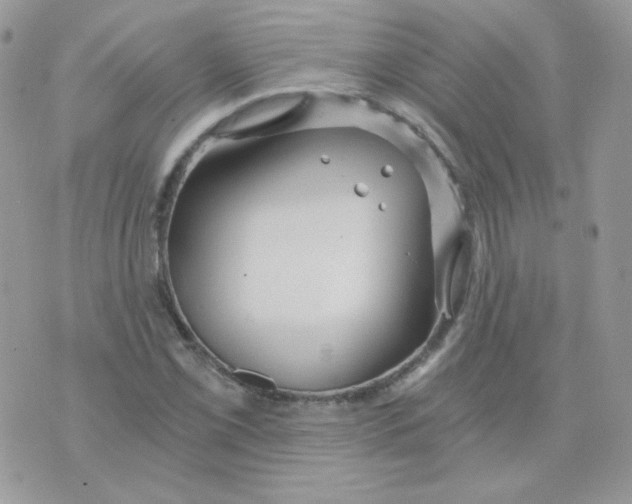 X0000071331069200607212001