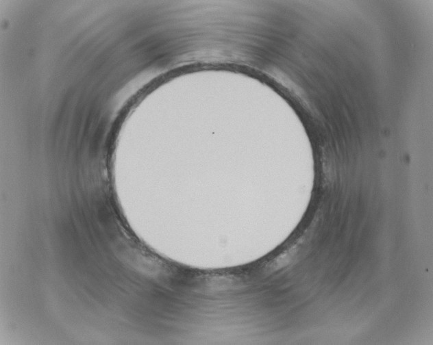 X0000071331070200607212001