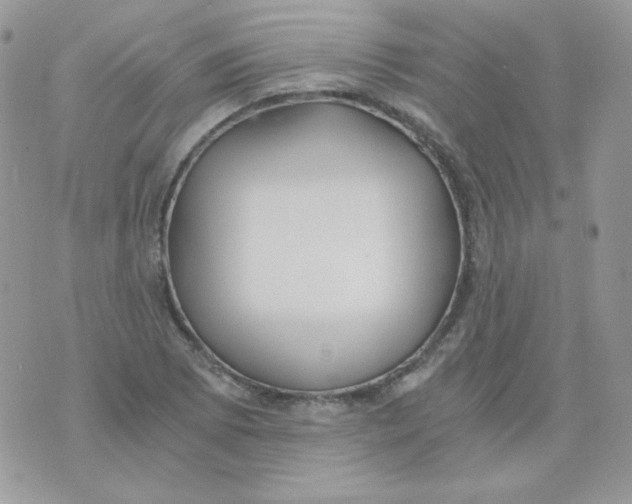 X0000071331073200607212001