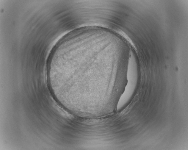 X0000071331076200607212001