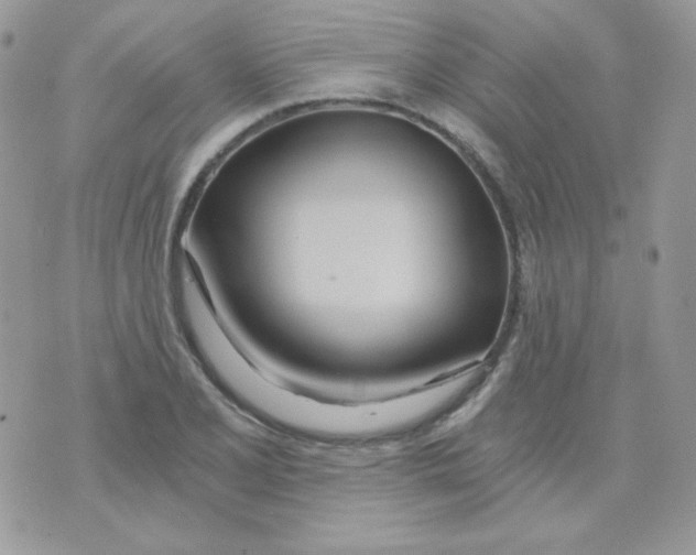 X0000071331077200607212001