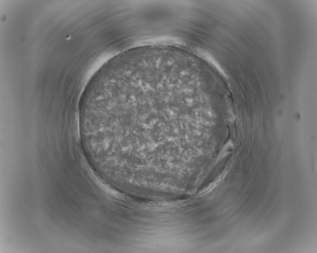 X0000071331079200607212001