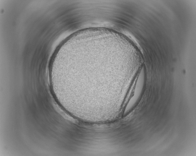 X0000071331080200607212001