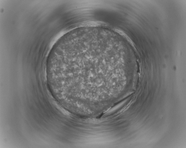 X0000071331083200607212001