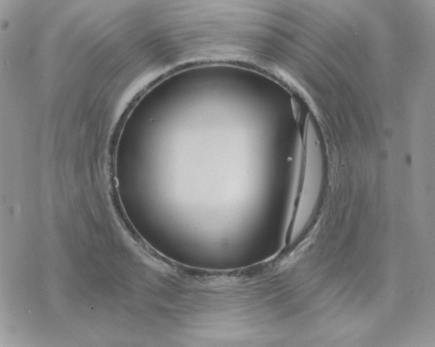 X0000071331085200607212001