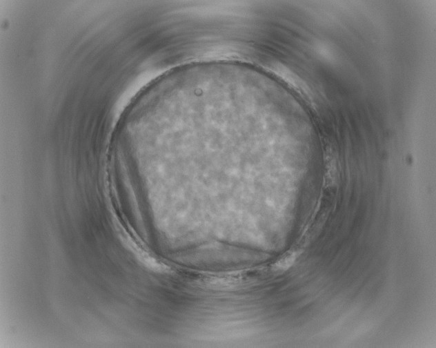 X0000071331086200607212001