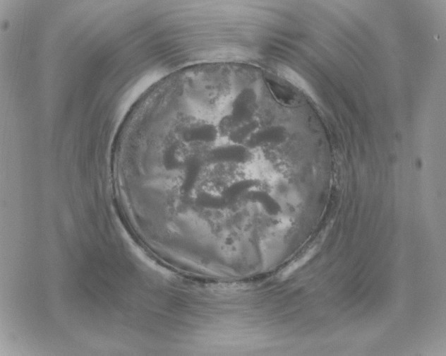 X0000071331087200607212001