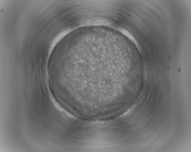 X0000071331088200607212001