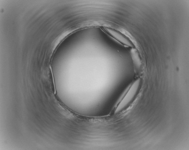 X0000071331089200607212001